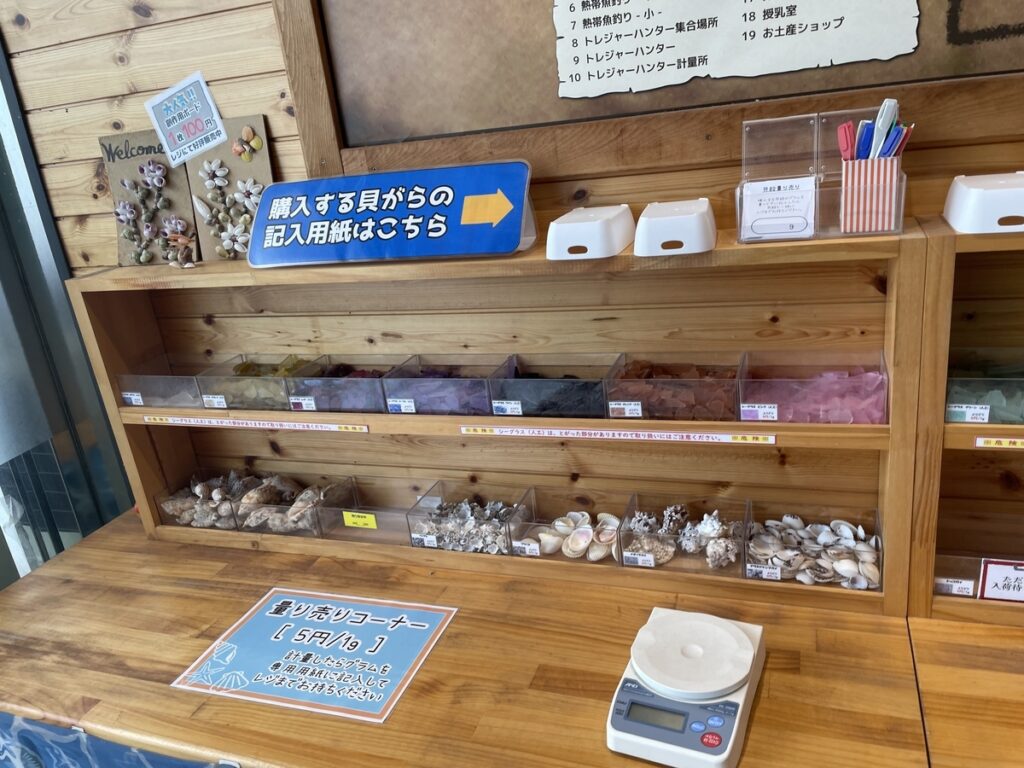 貝殻のグラム売り