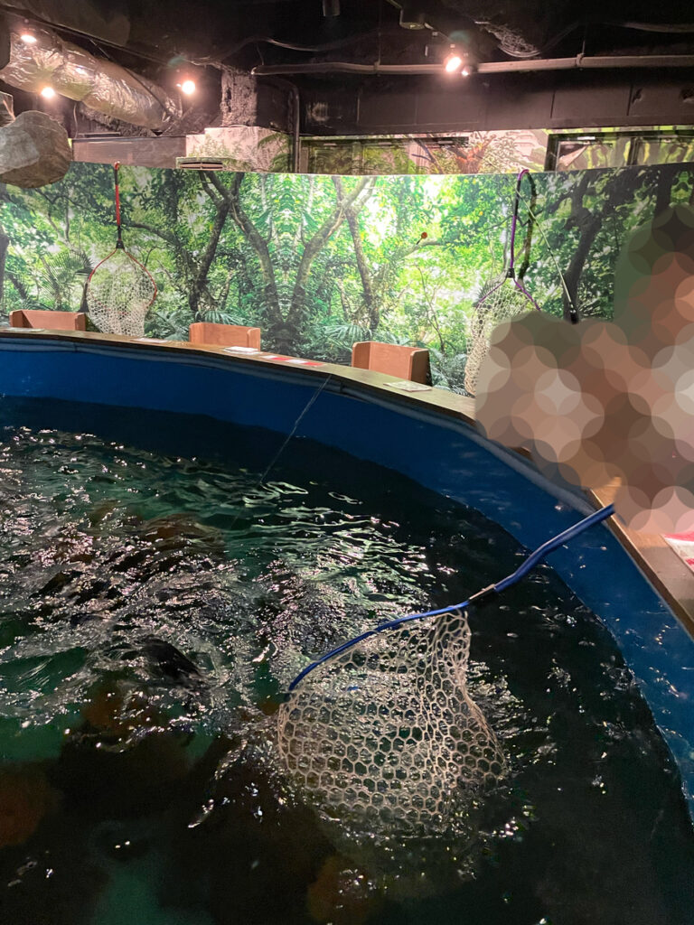 大型熱帯魚の釣り堀